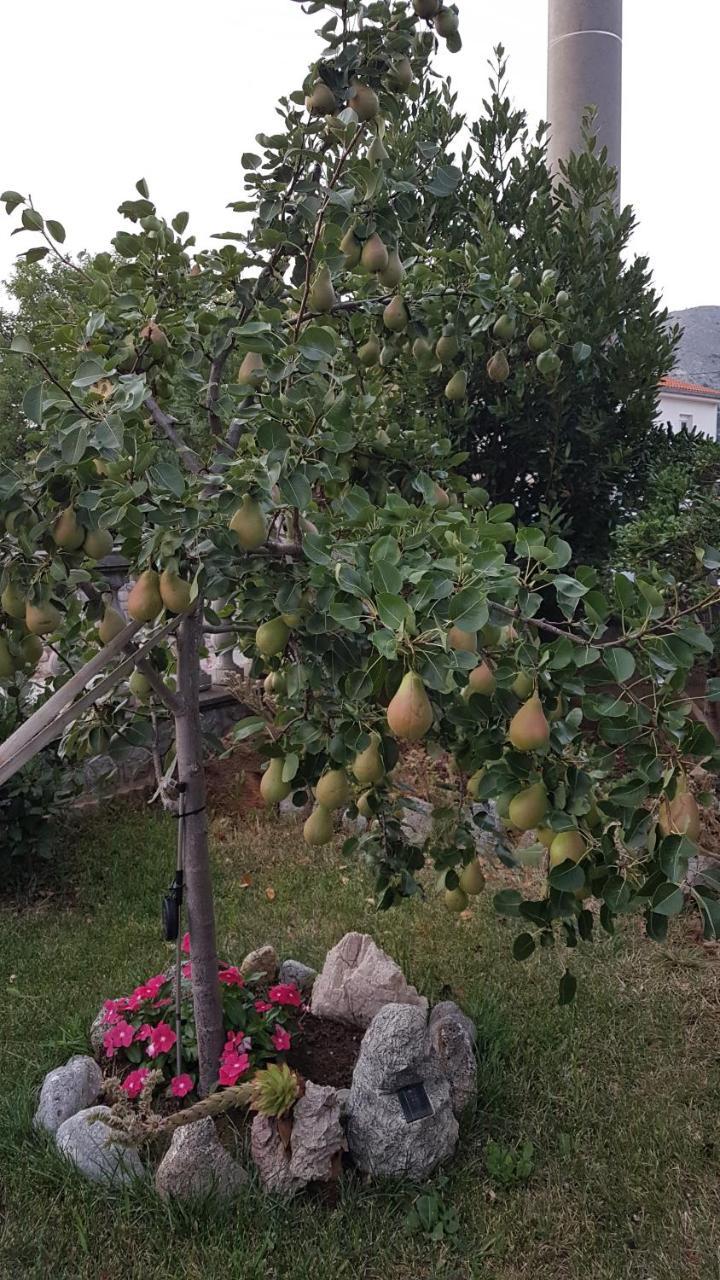 Room Josip Zengg Kültér fotó